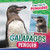 Galapagos Penguin by Bethany Latham, 9781978547414