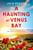 A Haunting at Venus Bay (A compelling dual-time story of secrets, a mysterious disappearance and coming home) by Julie Brooks, 9781035414871