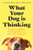 What Your Dog is Thinking (The Science Behind Your Dog's Behaviour and How to Improve It) by Sabrina and Danny Cohen-Hatton and Wells, 9781472149039