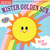 Indestructibles (The Original): Mister Golden Sun by Workman Publishing, 9781523534319