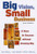 Big Vision, Small Business (4 Keys to Success without Growing Big) by Jamie S. Walters, 9781576751886