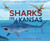 Sharks in Kansas (The Ancient Sea in the Middle of America) - 9780593904718 by Melissa Stewart, Becca Stadtlander
