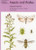 Insects and Thistles by Margaret Redfern, Anthony J. Hopkins, 9780855462970