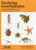 Studying Invertebrates by C. Philip Wheater, Penny A. Cook, Jo Wright, 9781784270827
