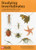Studying Invertebrates by C. Philip Wheater, Penny A. Cook, Jo Wright, 9781784270827