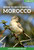 Where to Watch Birds in Morocco by Patrick Bergier, Fedora Bergier, 9781784271442