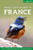 Where to Watch Birds in France by Jean-Yves Barnagaud, Nidal Issa, Sebastien Dalloyau, 9781784271541