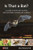 Is That a Bat? (A Guide to Non-Bat Sounds Encountered During Bat Surveys) by Neil Middleton, 9781784271978