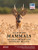 Atlas of the Mammals of Great Britain and Northern Ireland by Derek Crawley, Frazer Coomber, Laura Kubasiewicz, Colin Harrower, Peter Evans, 9781784272043