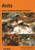 Ants - 9781784273040 by Gary J. Skinner, Andrew P. Jarman, 9781784273040