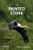 Painted Stork by Abdul  Jamil Urfi, 9781784274399