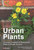 A Field Guide to Urban Plants by Alexandra-Maria Klein, Julia Krohmer, 9781784274740