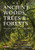Ancient Woods, Trees and Forests (Ecology, History and Management) by Alper H. Colak, Simay Kirca, Ian D. Rotherham, 9781784275396