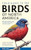Field Guide to the Birds of North America by Miles McMullan, Derek Sallmann, Ryan Sallmann, 9781784275426