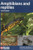 Amphibians and Reptiles by Trevor J. C. Beebee, 9781907807459