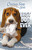 Chicken Soup for the Soul: Best Dog Ever by Amy Newmark, 9781611594652