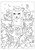 Emily the Strange Coloring Book by Editors of Thunder Bay Press, 9781667208275