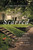 Scarred (A Memoir of a Childhood Stolen and a Life Reclaimed) - 9781668018668 by Clark Fredericks