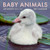 2027 Baby Animals Wall Calendar (Art Wolfe's Wild Lives) by Art Wolfe, 9798887621982