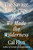 The Savage Landscape (How We Made the Wilderness) by Cal Flyn, 9780593833087