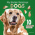 My Sticker Paintings: Dogs (10 Incredible Canines) by Logan Powell, 9781641244503