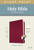 KJV Personal Size Giant Print Bible, Filament Enabled (LeatherLike, Diamond Frame Cranberry, Indexed, Red Letter) by Tyndale, 9781496447708