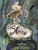 Stone by Stone (A Rock's Journey Through Time) by Melissa Koch, Victoria Tentler-Krylov, 9780823456734