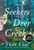The Seekers of Deer Creek, (A Novel) by Thao Thai, 9780063498815