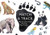 Match a Track (Match 25 Animals to Their Paw Prints) by Marcel George, 9781780679648