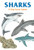 Sharks (A Top Score Game) by Kelsey Oseid, 9781786272003