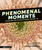 Phenomenal Moments: Revealing the Hidden Science Around Us by Felice Frankel, Felice Frankel, 9781536234893