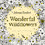 Wonderful Wildflowers (A Coloring Book and Floral Quest) by Johanna Basford, 9780143138365