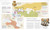 Civilizations Map by Map (From Ancient Empires to Forgotten Cultures) by DK, 9798217139491