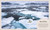 Polar (Explore the Earth's Coldest, Wildest Places) by DK, 9798217134014