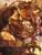 Visions of the Buffalo People by Linda Little Wolf, 9781589801240