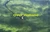 Over Holland by Karel Tomei, 9789055944224