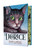Licorice by Kara LaReau, Kelly Murphy, 9781546185949