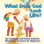 What Does God Look Like? - 9798887982403 by Rabbi Lawrence Kushner, Karen Kushner, Dawn Majewski, 9798887982403
