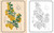 Beautiful Flowers Coloring Book (Hardback Gift Edition) by The Royal Botanic Gardens Kew, 9781398869684