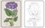 Beautiful Flowers Coloring Book (Hardback Gift Edition) by The Royal Botanic Gardens Kew, 9781398869684
