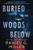 Buried in the Woods Below by Daniel G. Miller, 9781464291388
