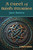 A Creel of Irish Stories by Jane Barlow, 9798880925551
