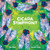 Cicada Symphony - 9780807511671 by Sue Fliess, Gareth Lucas, 9780807511671