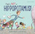 That's Not a Hippopotamus! by Juliette MacIver, Sarah Davis, 9781927271971