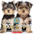 Dogs and Puppies (Pet Photo Book with pawprint necklace): More than 100 Breeds - 9798225040727 by Scholastic, 9798225040727