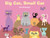 Big Cat, Small Cat by Ami Rubinger, 9780789210296