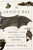 The Genius Bat (The Secret Life of the Only Flying Mammal) - 9781250378460 by Yossi Yovel, 9781250378460