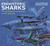 Prehistoric Sharks (The Evolution of Sharks in 40 Species) (Miniature Edition) by Steve White, Charlene da Silva, 9781399414333