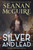 Silver and Lead (An October Daye Novel) by Seanan McGuire, 9781250375247