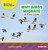 Why Birds Migrate (A First Look) - 9798348043285 by Candice Ransom